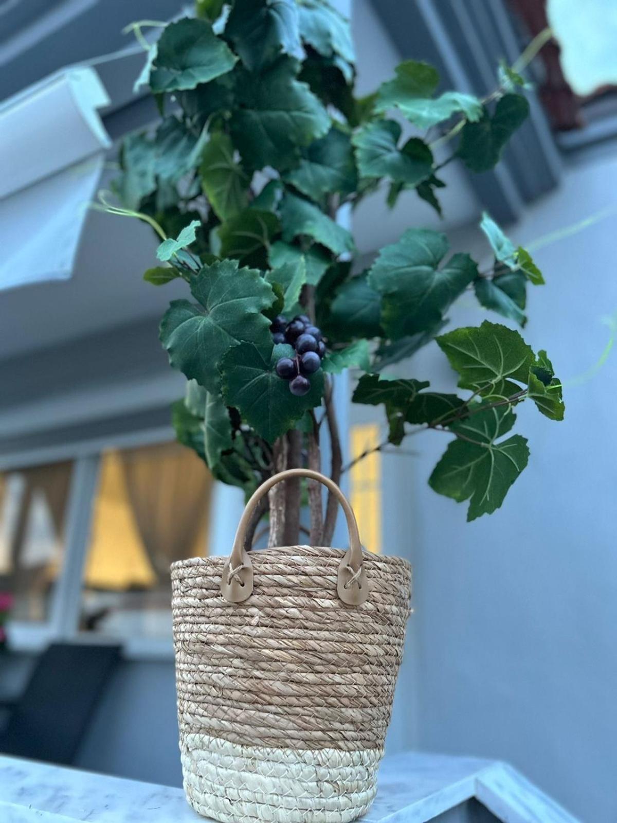 Amaya Pine Rooms Keramotí Eksteriør bilde